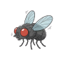 A fly, do not catch it